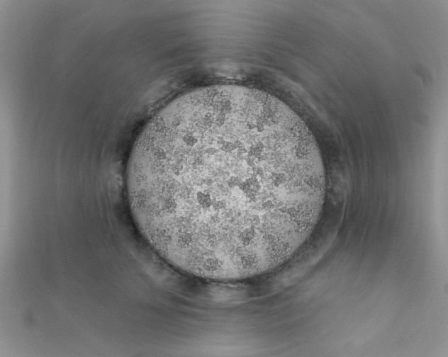 X0000112380707200909031952