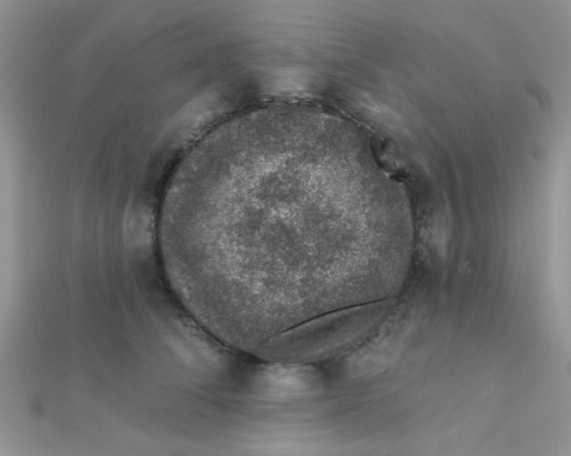 X0000112380708200909031952