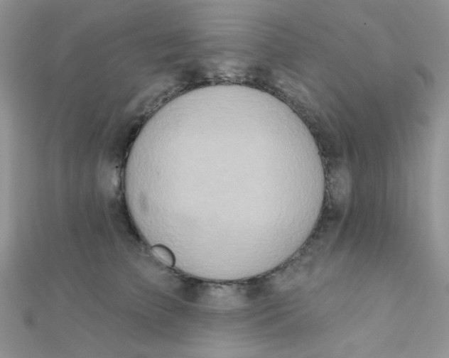 X0000112380709200909031952