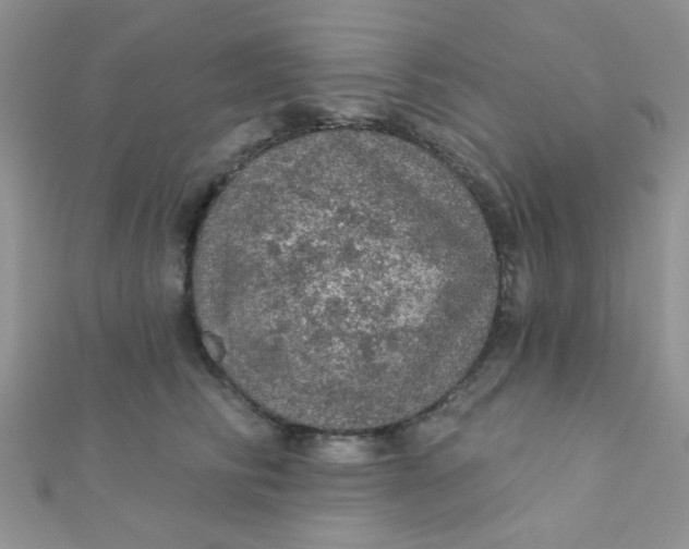 X0000112380710200909031952