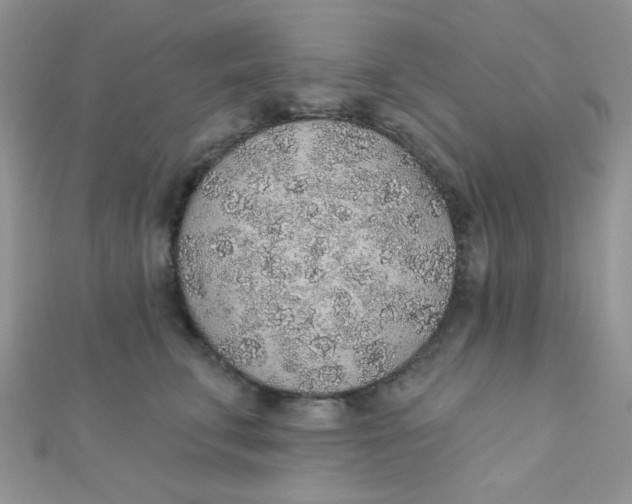 X0000112380711200909031952