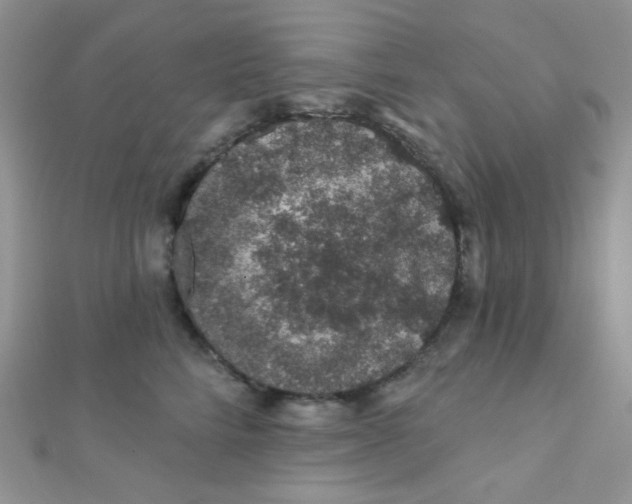 X0000112380712200909031952