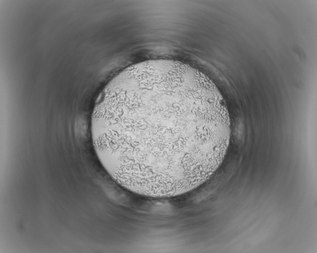 X0000112380715200909031952