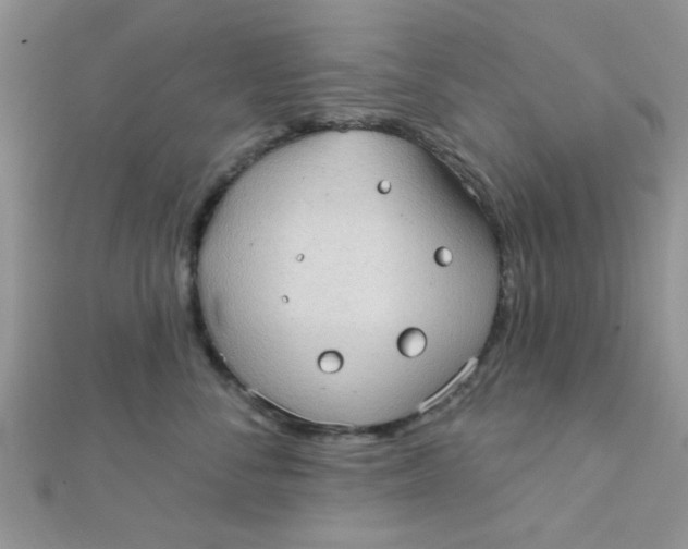 X0000112380716200909031952