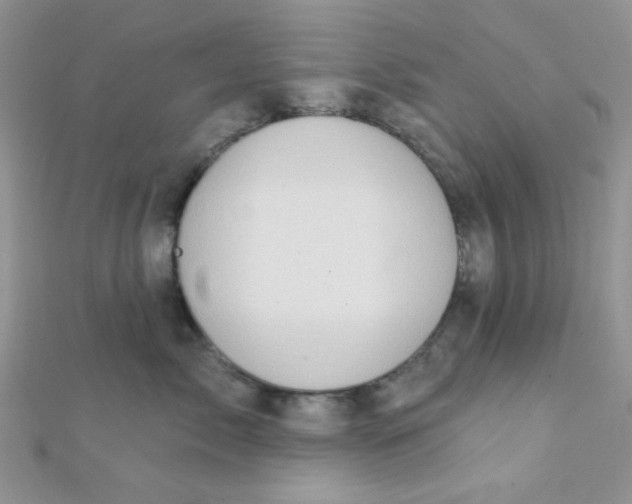 X0000112380717200909031952