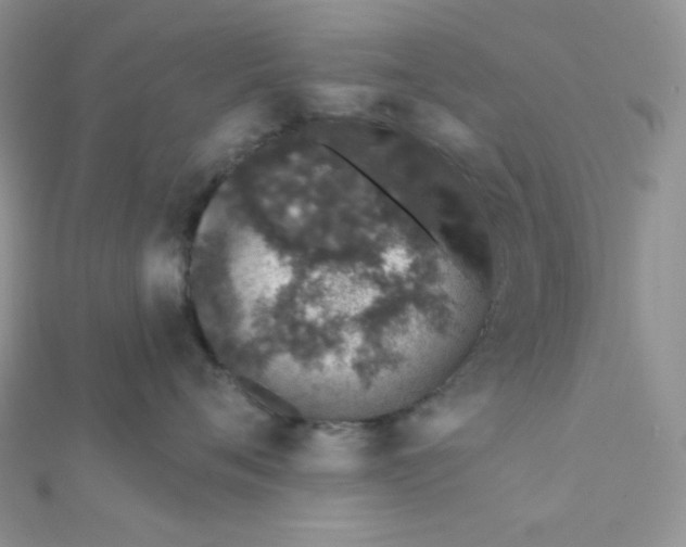 X0000112380720200909031952