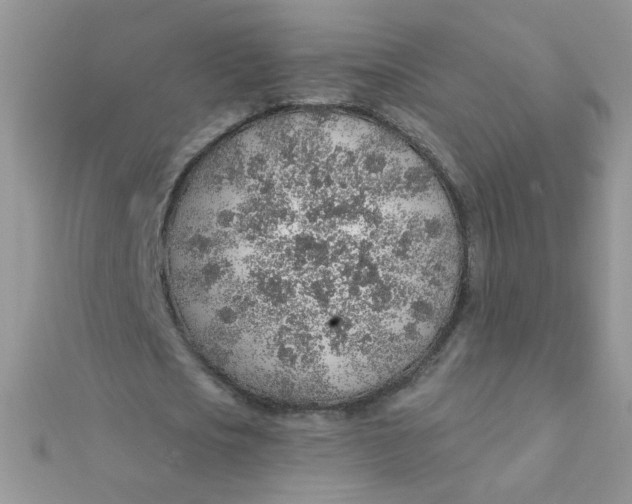 X0000112380721200909031951