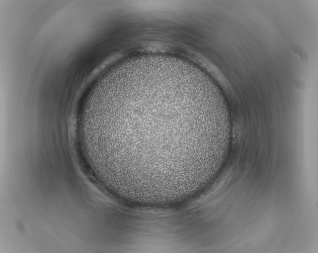 X0000112380722200909031951