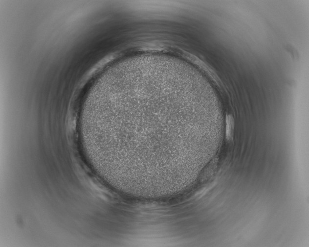 X0000112380723200909031951