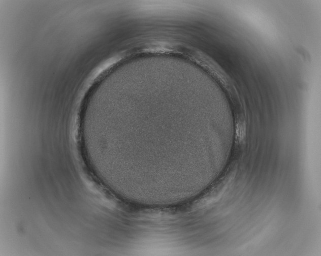 X0000112380724200909031951