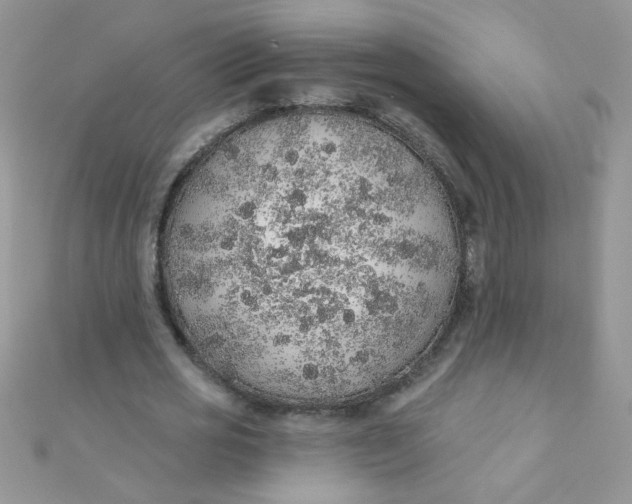 X0000112380725200909031951