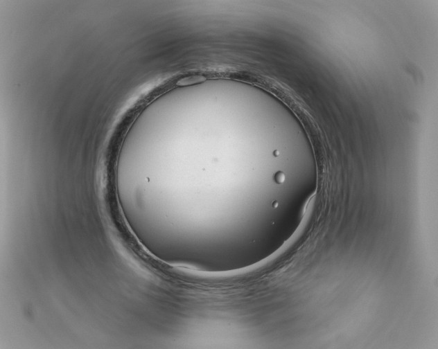 X0000112380726200909031951