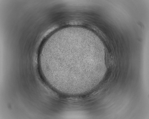 X0000112380727200909031951