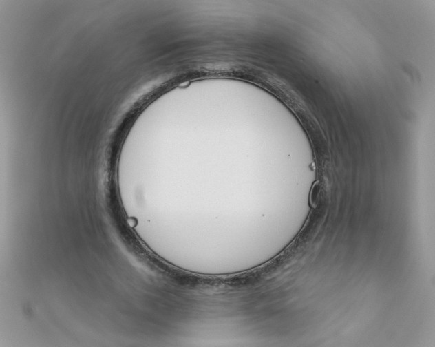 X0000112380728200909031951