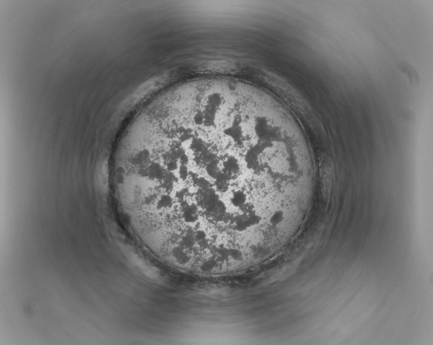 X0000112380729200909031952