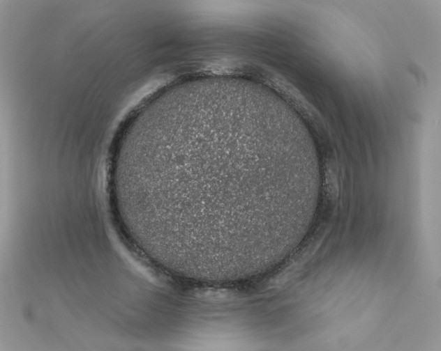 X0000112380730200909031952