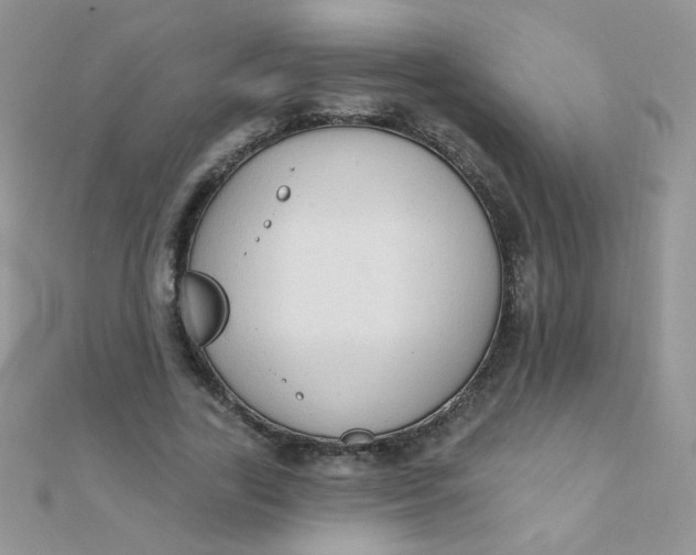 X0000112380731200909031952