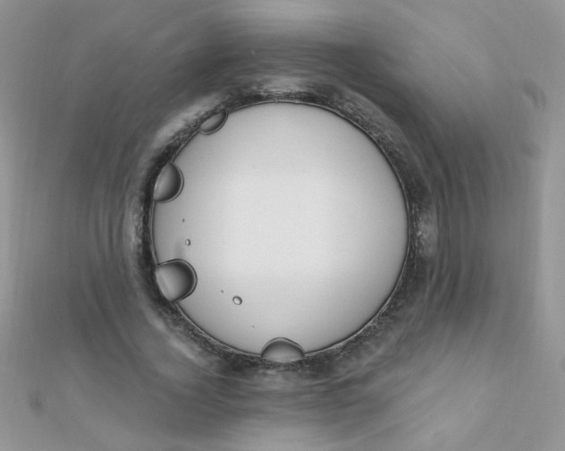 X0000112380732200909031952