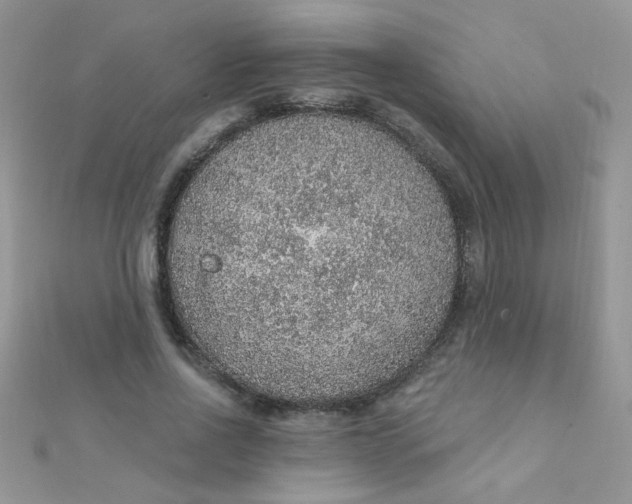 X0000112380734200909031952