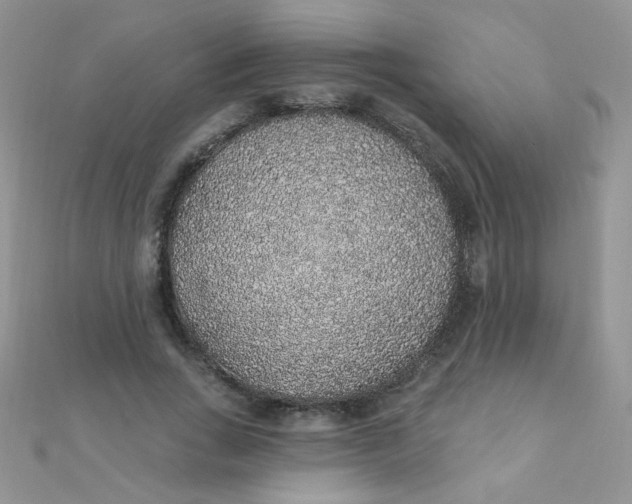 X0000112380735200909031952