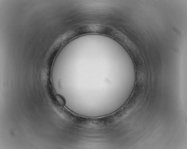 X0000112380736200909031952