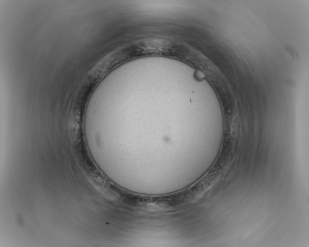 X0000112380737200909031952