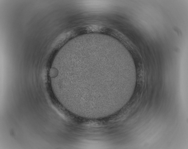 X0000112380738200909031952