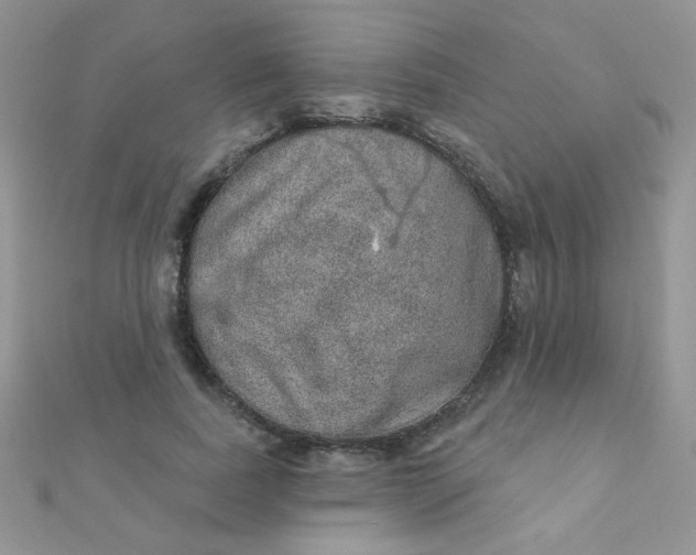 X0000112380739200909031952