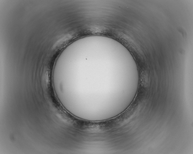 X0000112380740200909031952