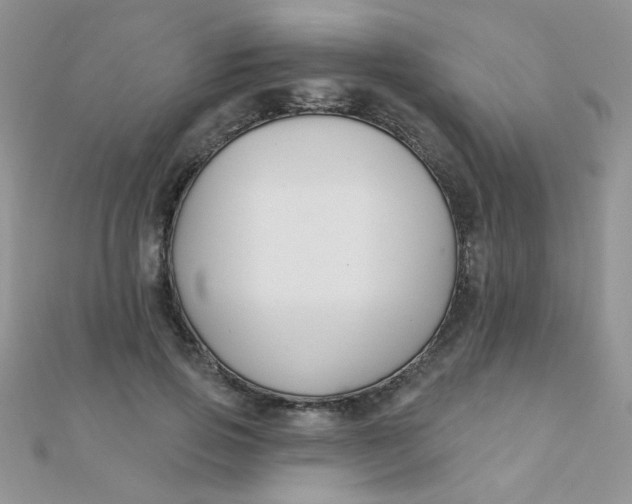 X0000112380741200909031952