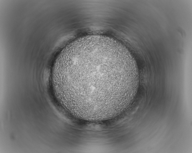 X0000112380742200909031952