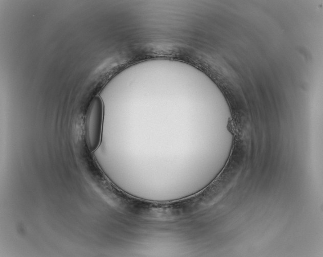 X0000112380744200909031952