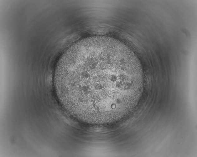 X0000112380745200909031952