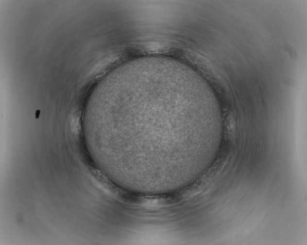 X0000112380746200909031952