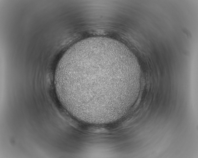 X0000112380747200909031952