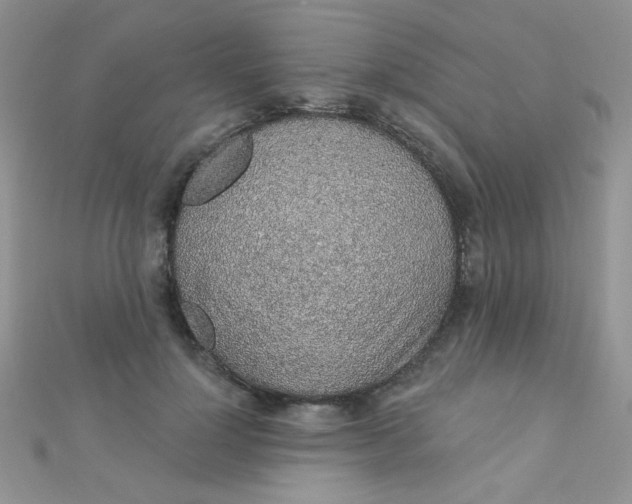 X0000112380748200909031952