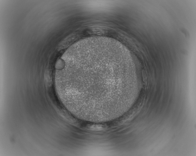 X0000112380751200909031952