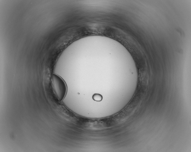 X0000112380752200909031952