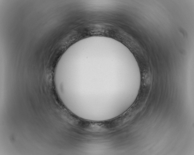 X0000112380753200909031952