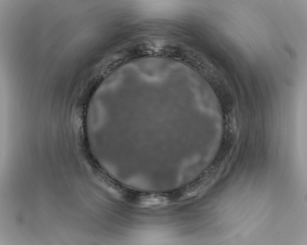 X0000112380754200909031952