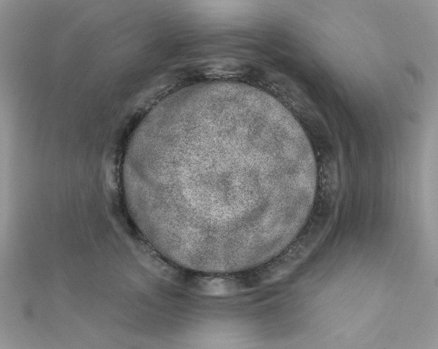 X0000112380755200909031952