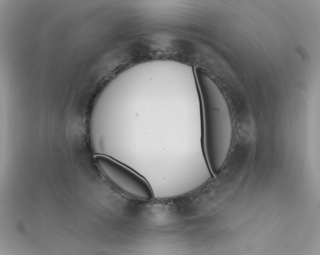 X0000112380756200909031952