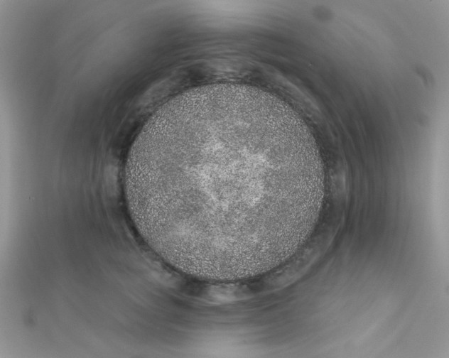 X0000112380757200909031952