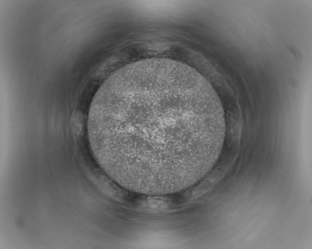 X0000112380758200909031952