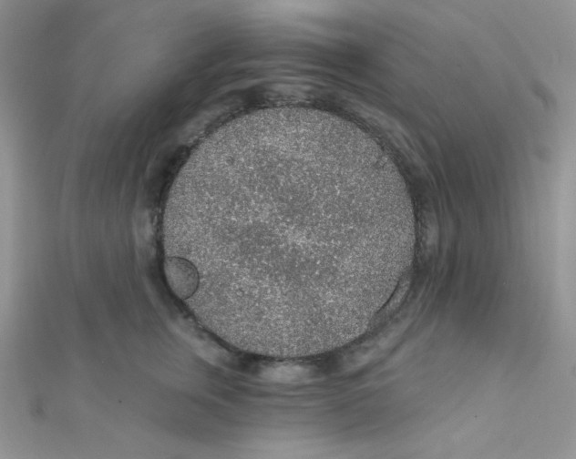 X0000112380759200909031952