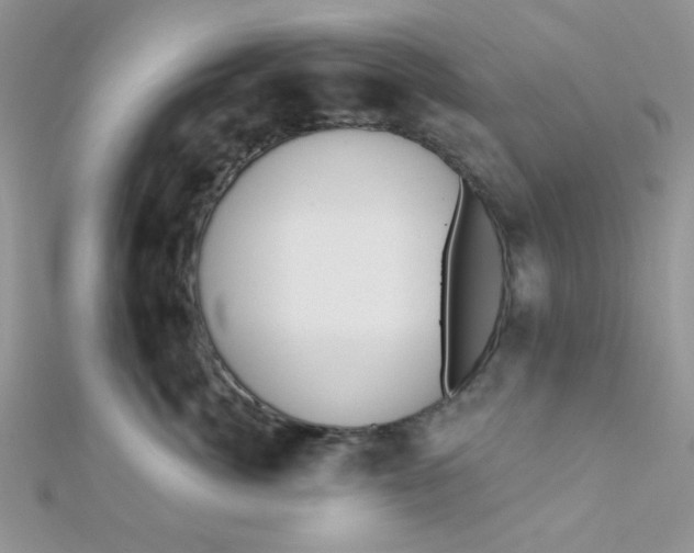 X0000112380764200909031952