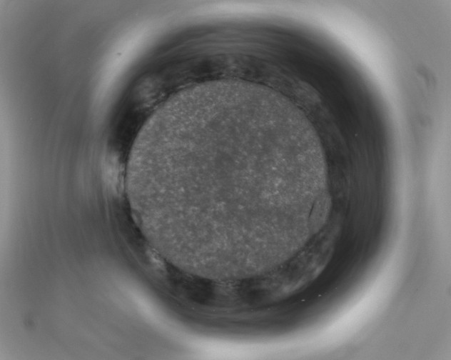 X0000112380766200909031952