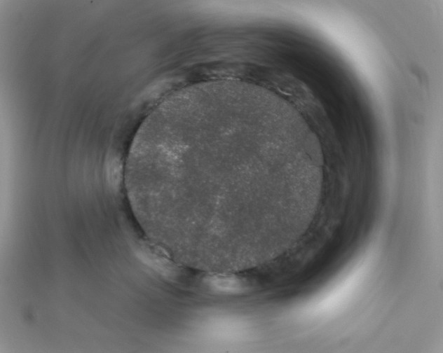 X0000112380767200909031952