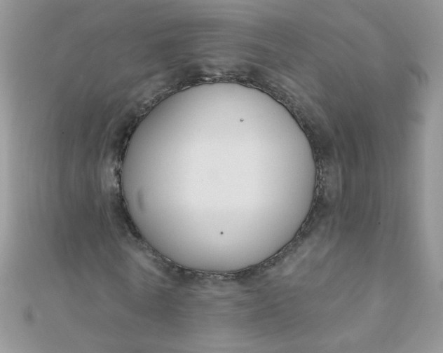 X0000112380770200909031951