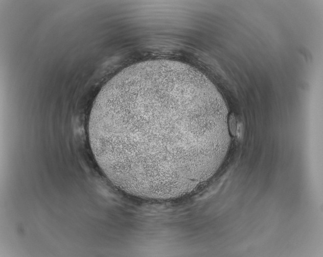 X0000112380771200909031951